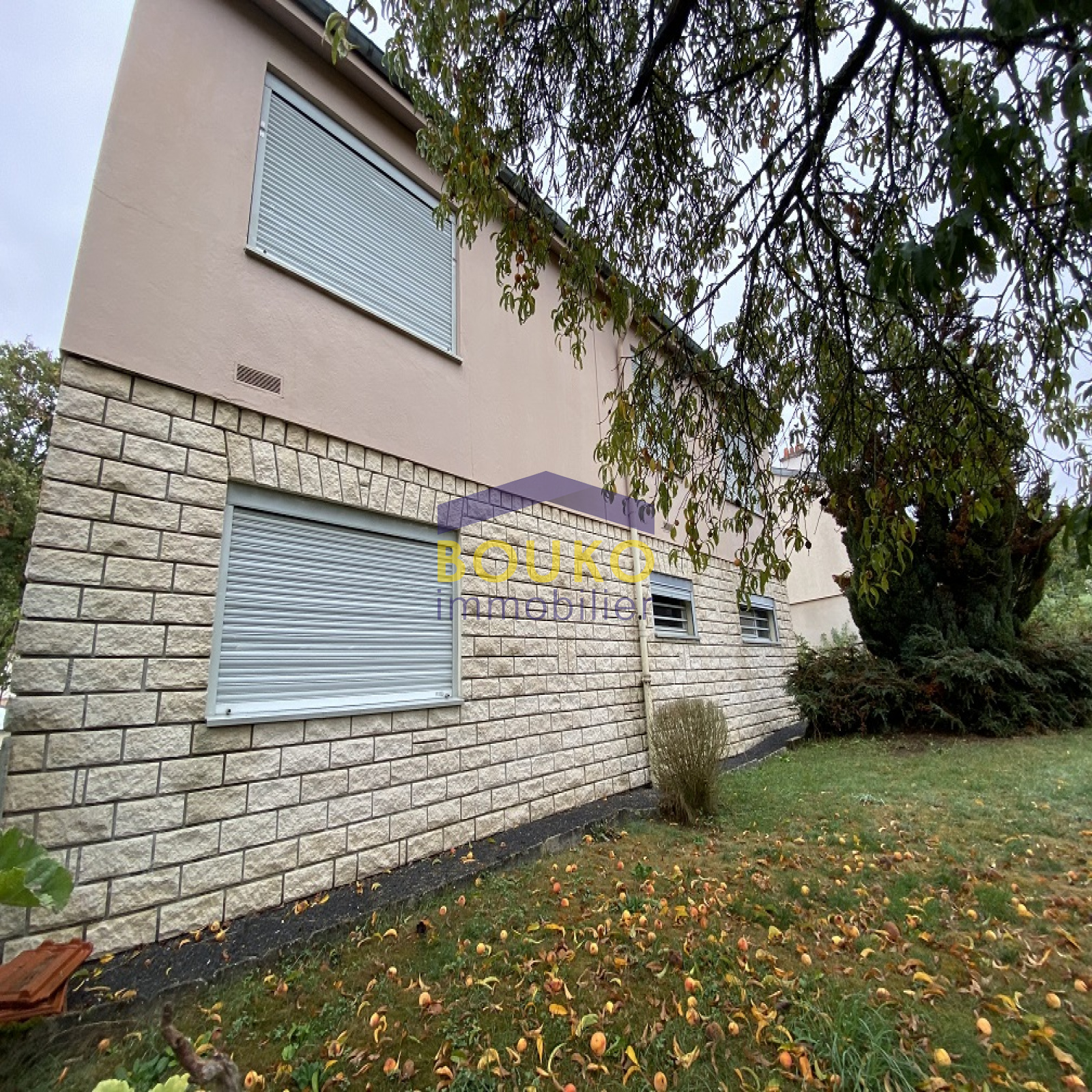 Maison à Vendre Villers Les-nancy Le Bon Coin