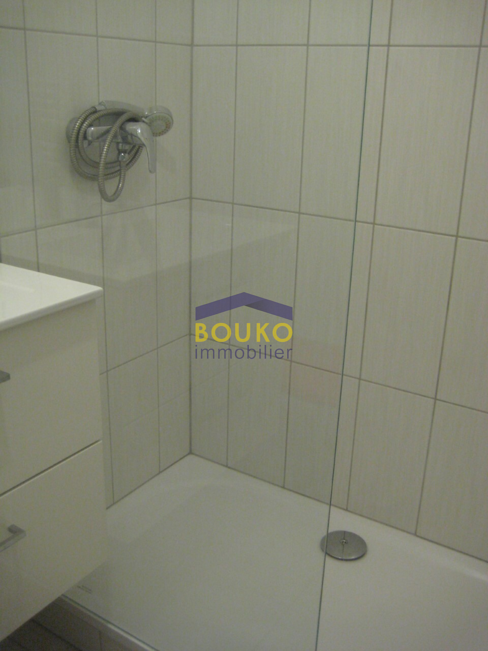 Image_, Appartement, Nancy, ref :0021