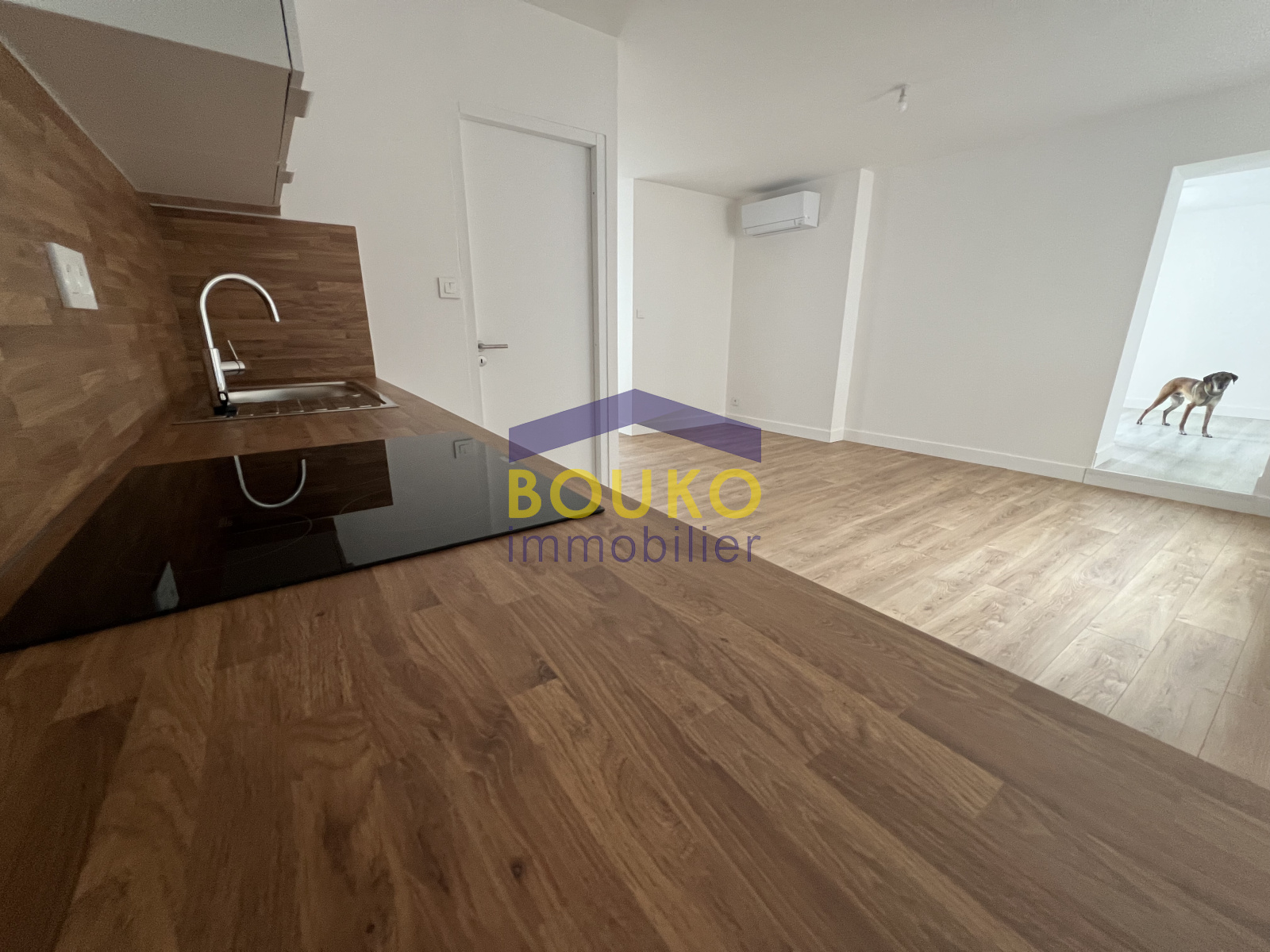 Image_, Appartement, Rosières-aux-Salines, ref :147741