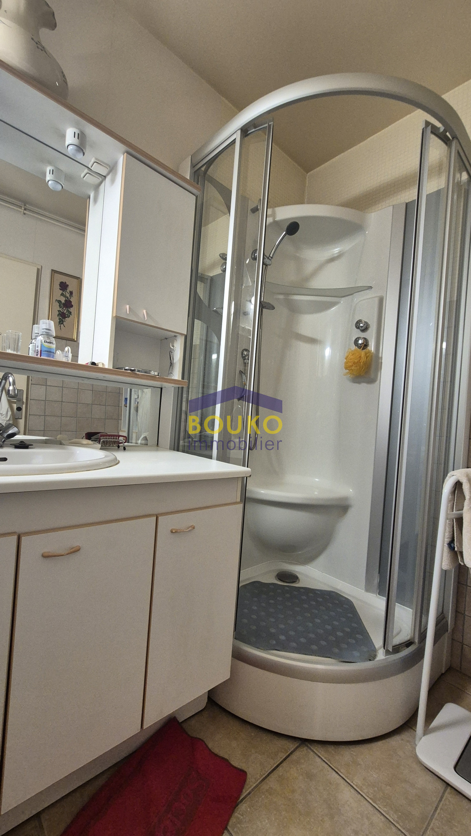 Image_, Appartement, Nancy, ref :4444