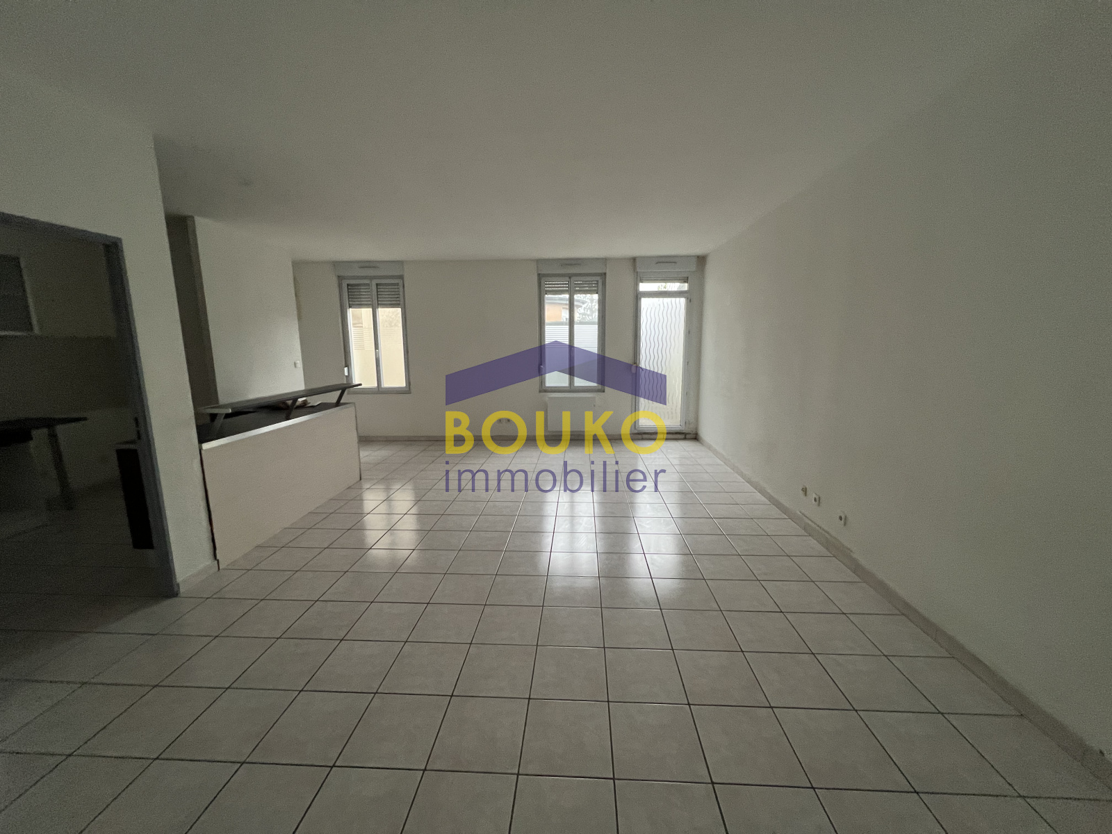 Image_, Appartement, Dombasle-sur-Meurthe, ref :4458 t31er bis