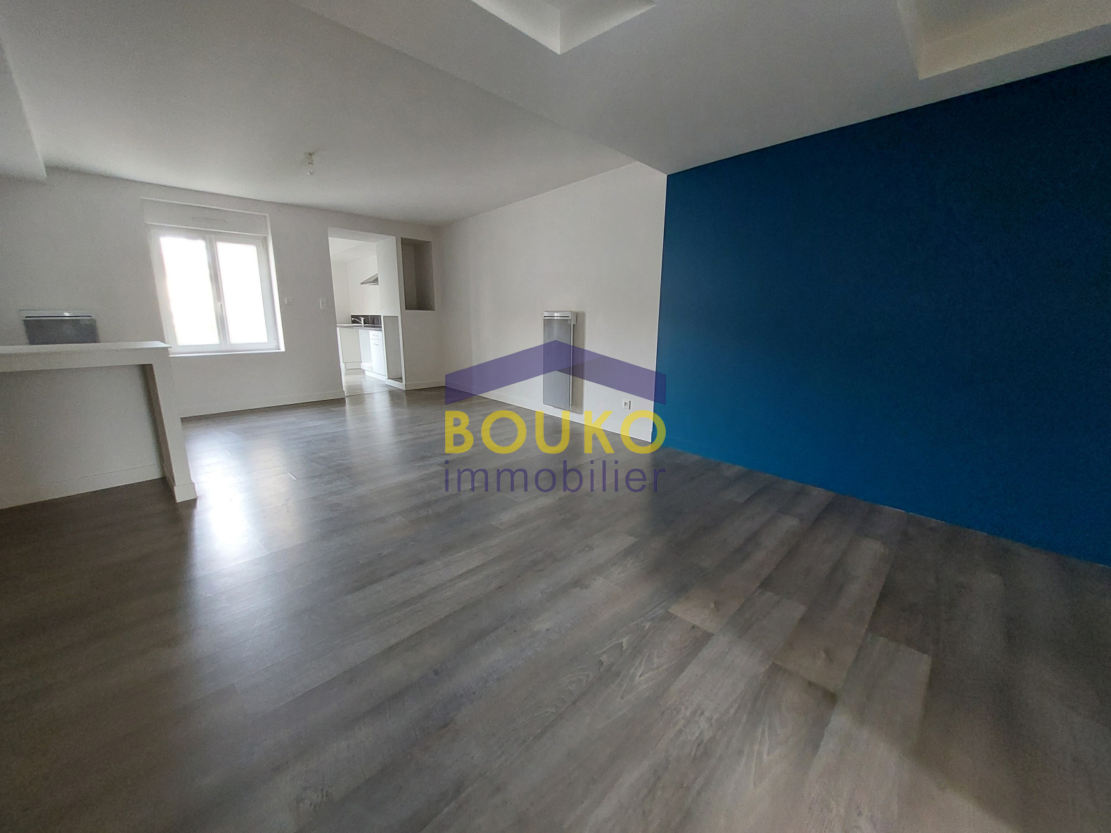 Image_, Appartement, Nancy, ref :0214