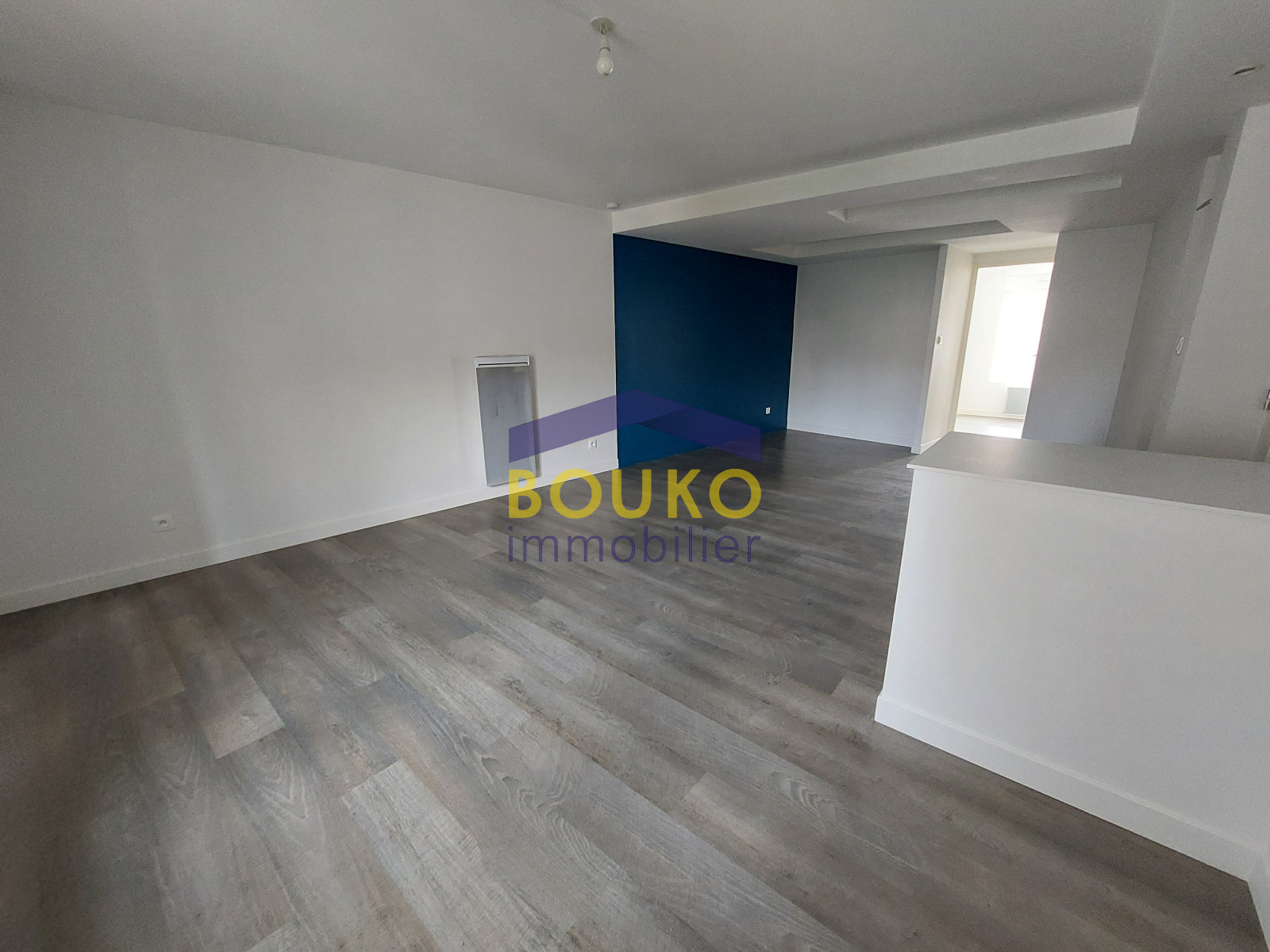 Image_, Appartement, Nancy, ref :0214