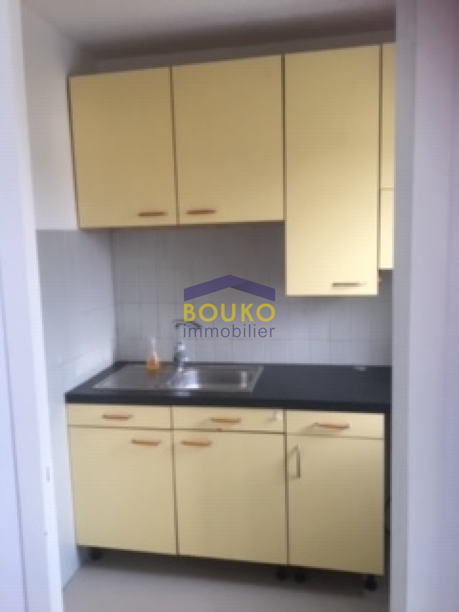 Image_, Appartement, Nancy, ref :0363