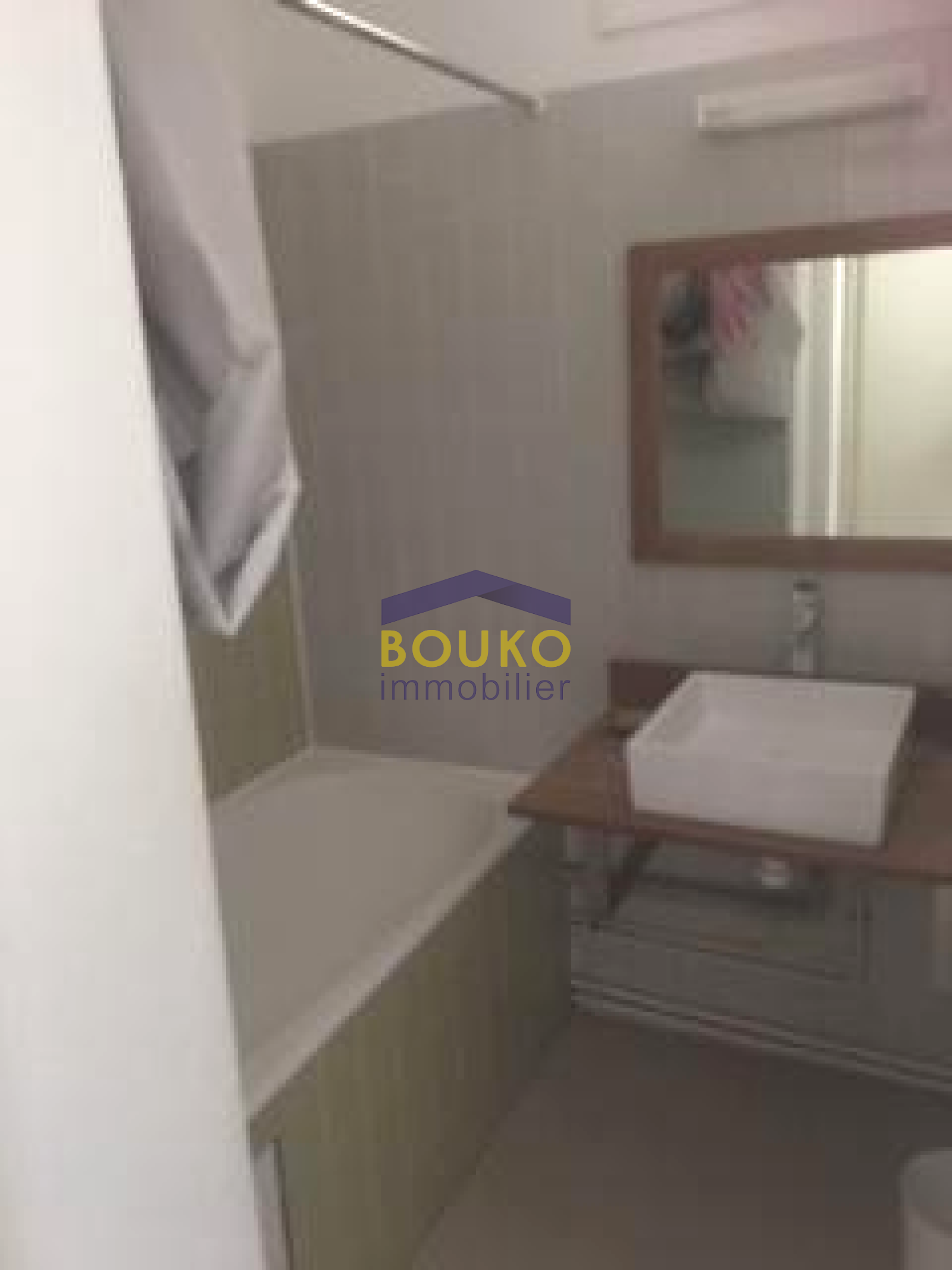 Image_, Appartement, Nancy, ref :0363