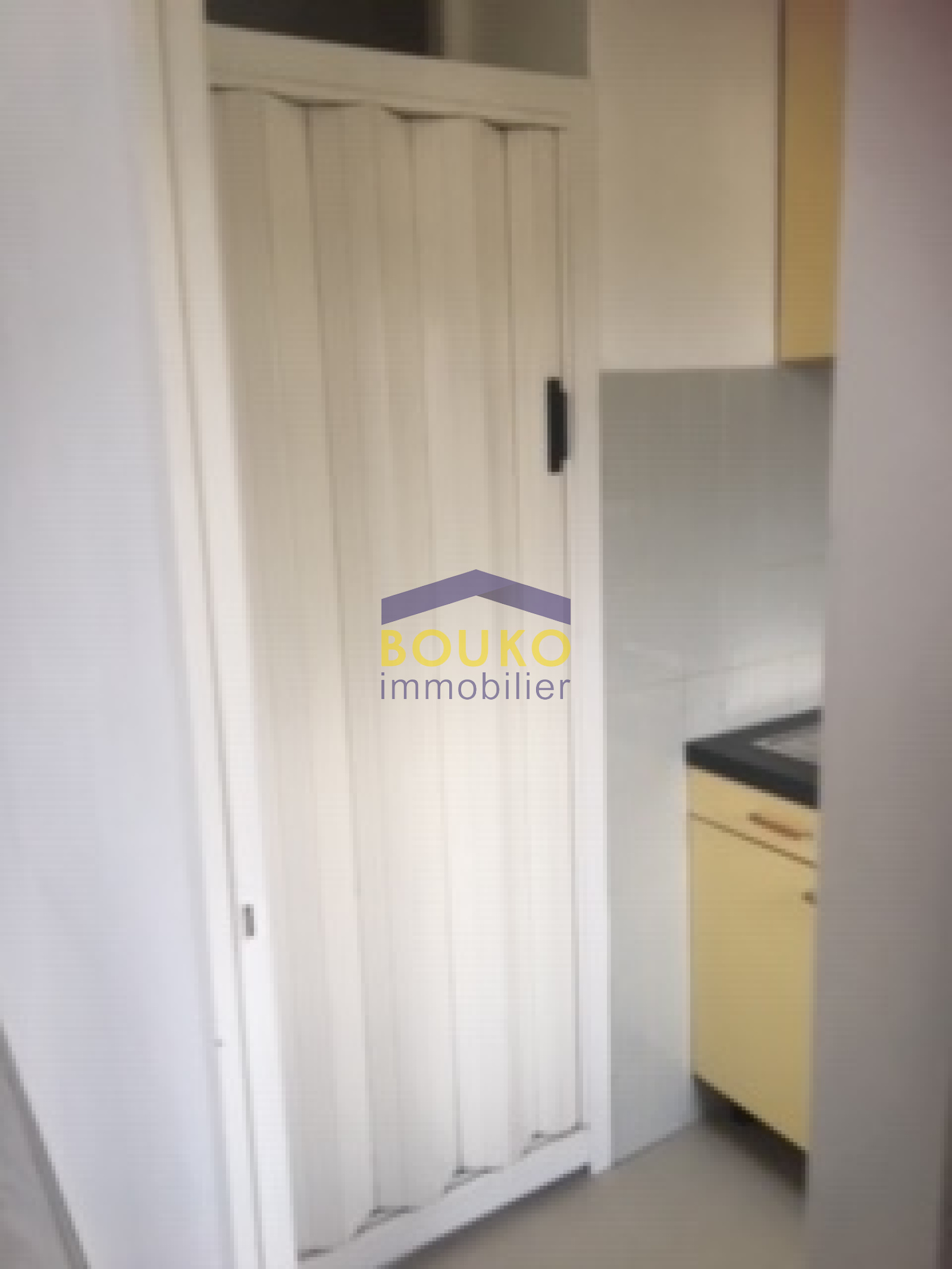 Image_, Appartement, Nancy, ref :0363