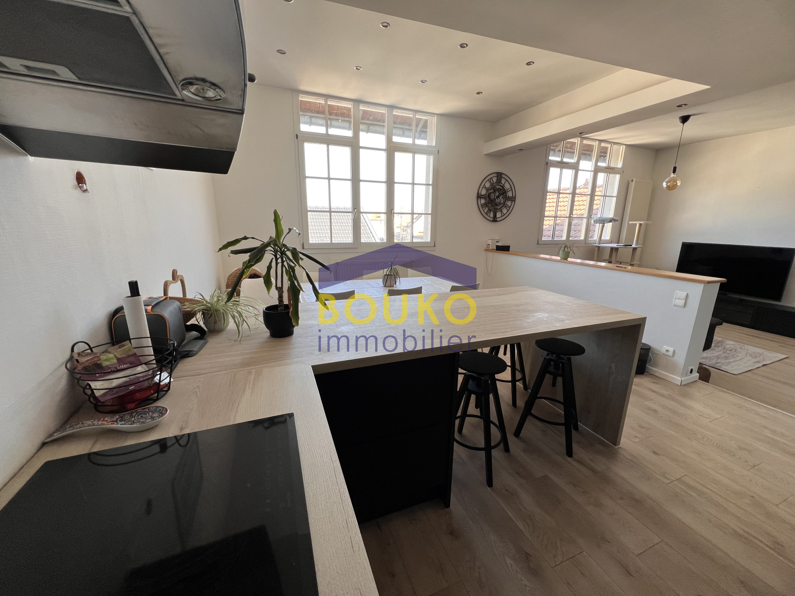Image_, Appartement, Saint-Nicolas-de-Port, ref :9987456