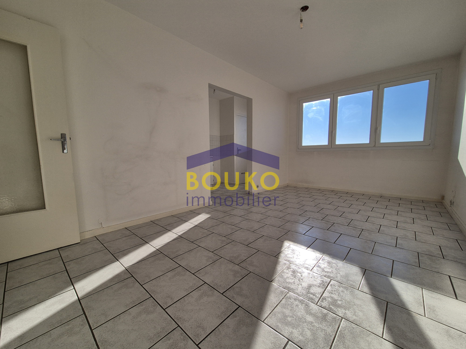 Image_, Appartement, Vandoeuvre-lès-Nancy, ref :4443