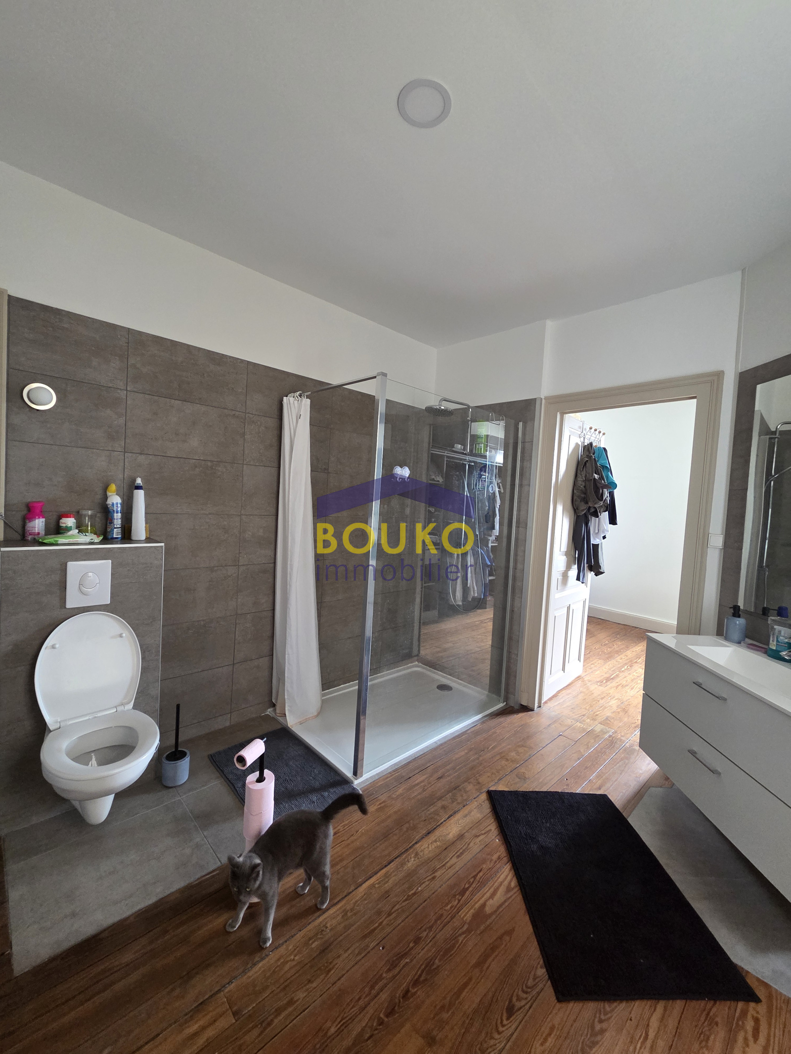 Image_, Maison, Dombasle-sur-Meurthe, ref :4467
