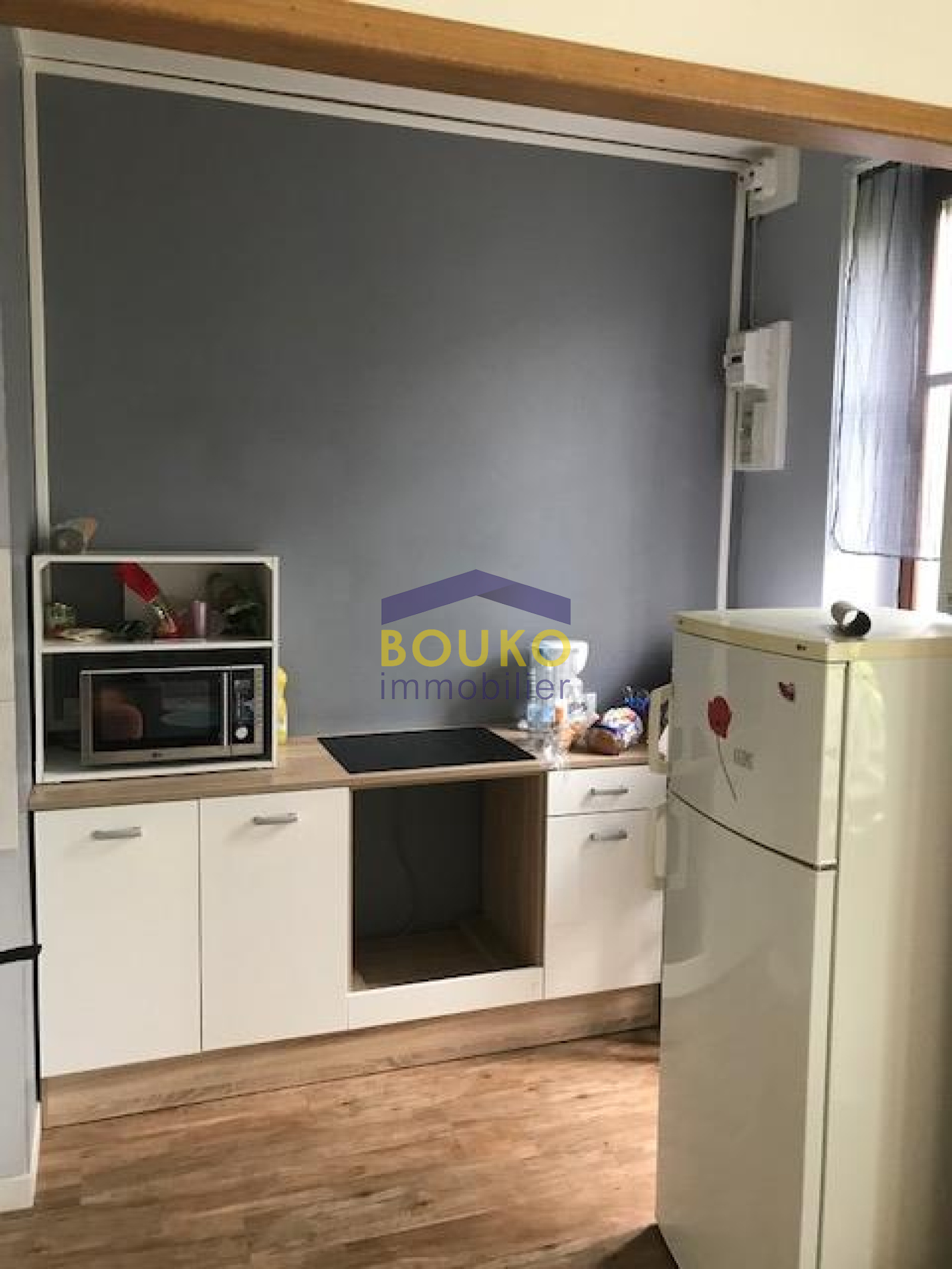 Image_, Appartement, Nancy, ref :0300