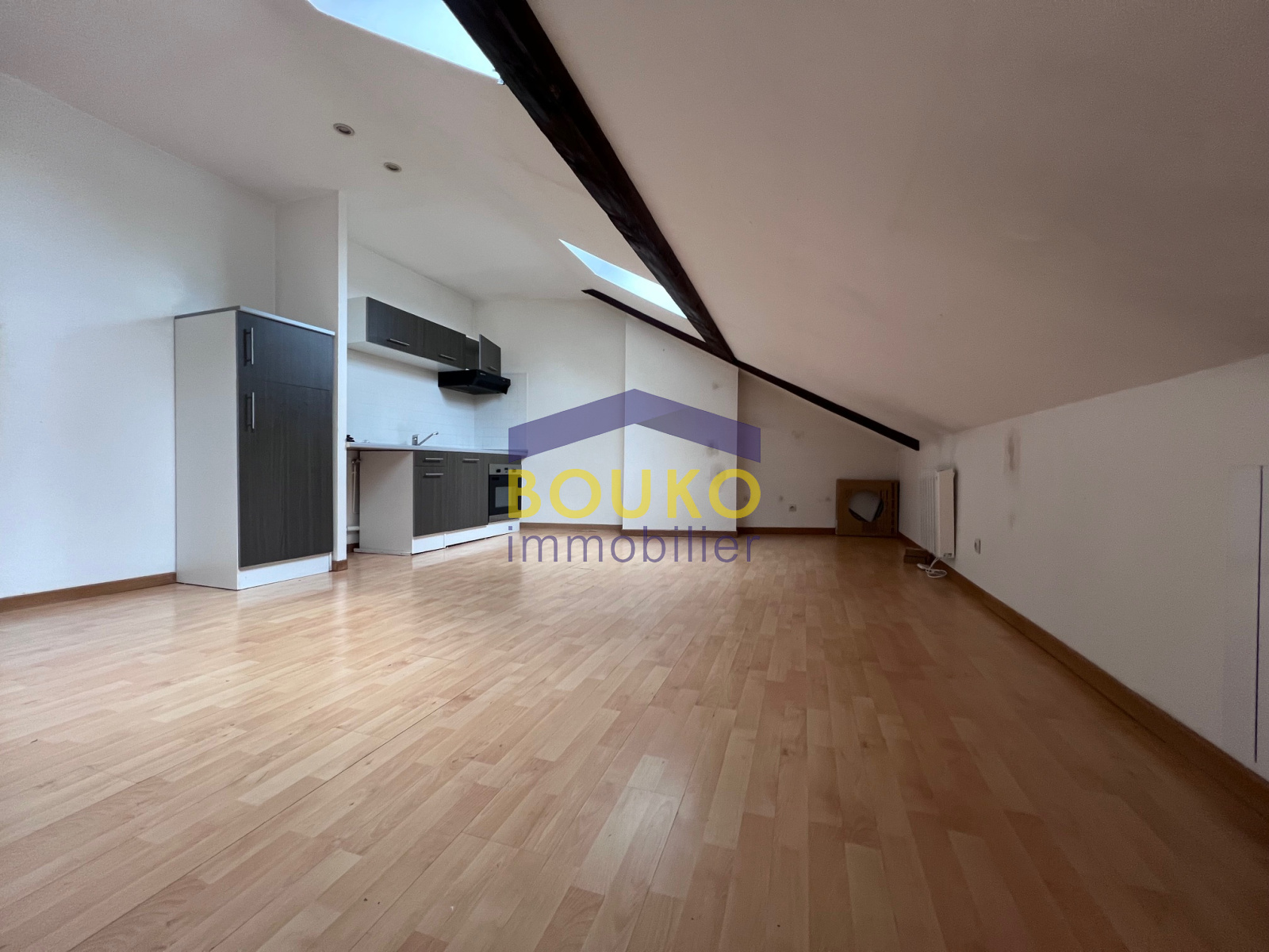 Image_, Appartement, Nancy, ref :0563