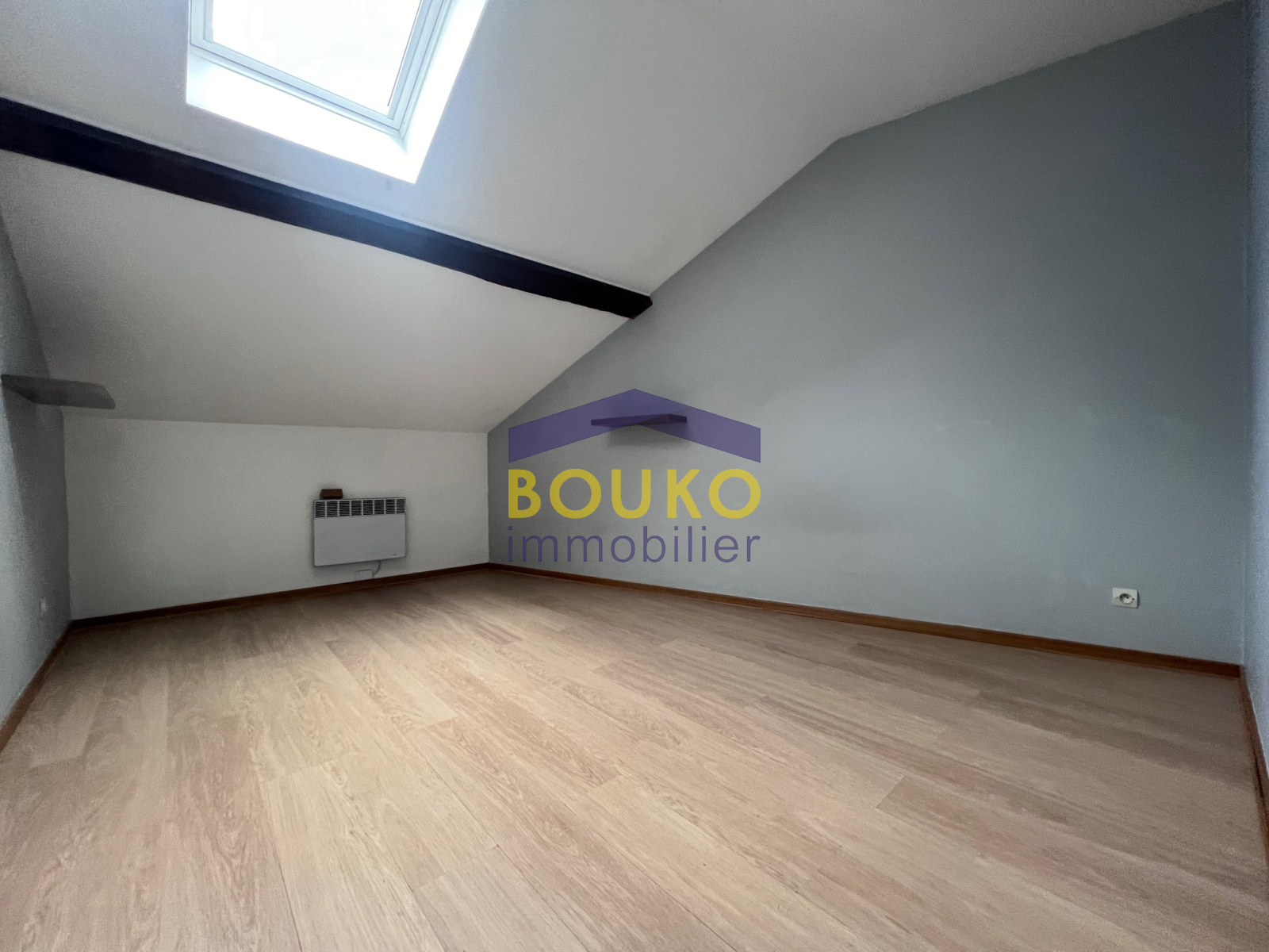 Image_, Appartement, Nancy, ref :0563