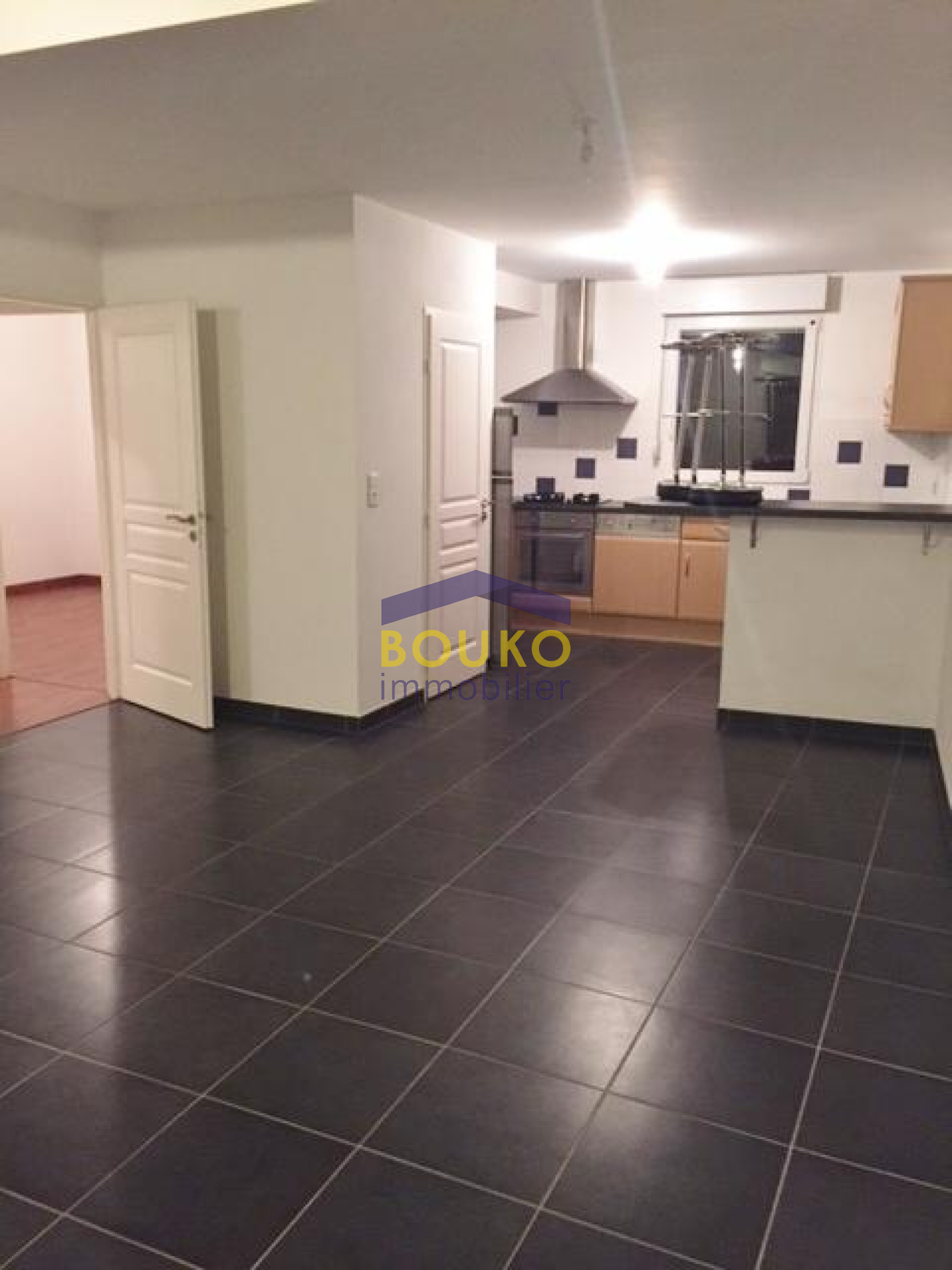 Image_, Appartement, Saint-Nicolas-de-Port, ref :2501