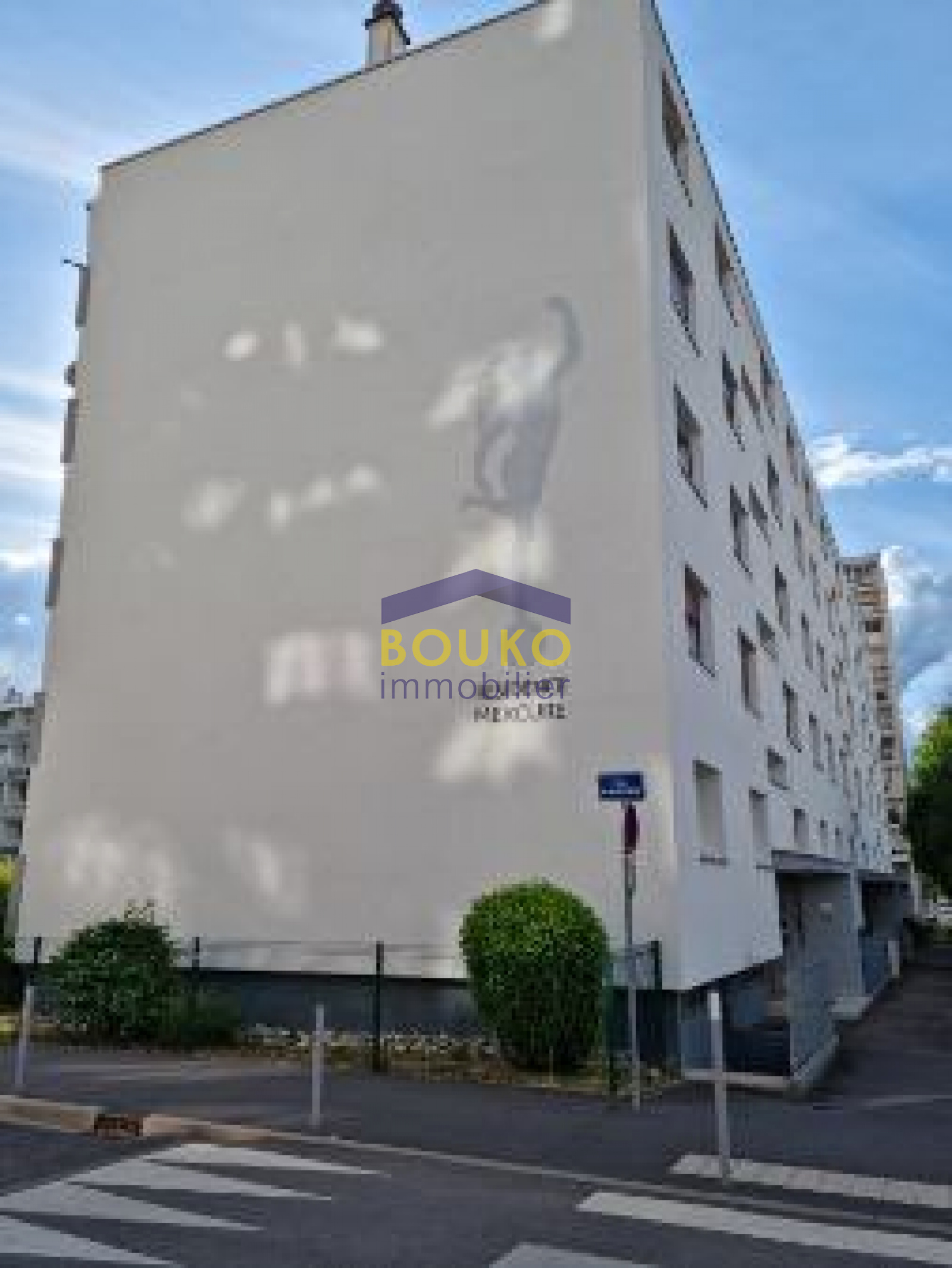 Image_, Appartement, Vandoeuvre-lès-Nancy, ref :600000