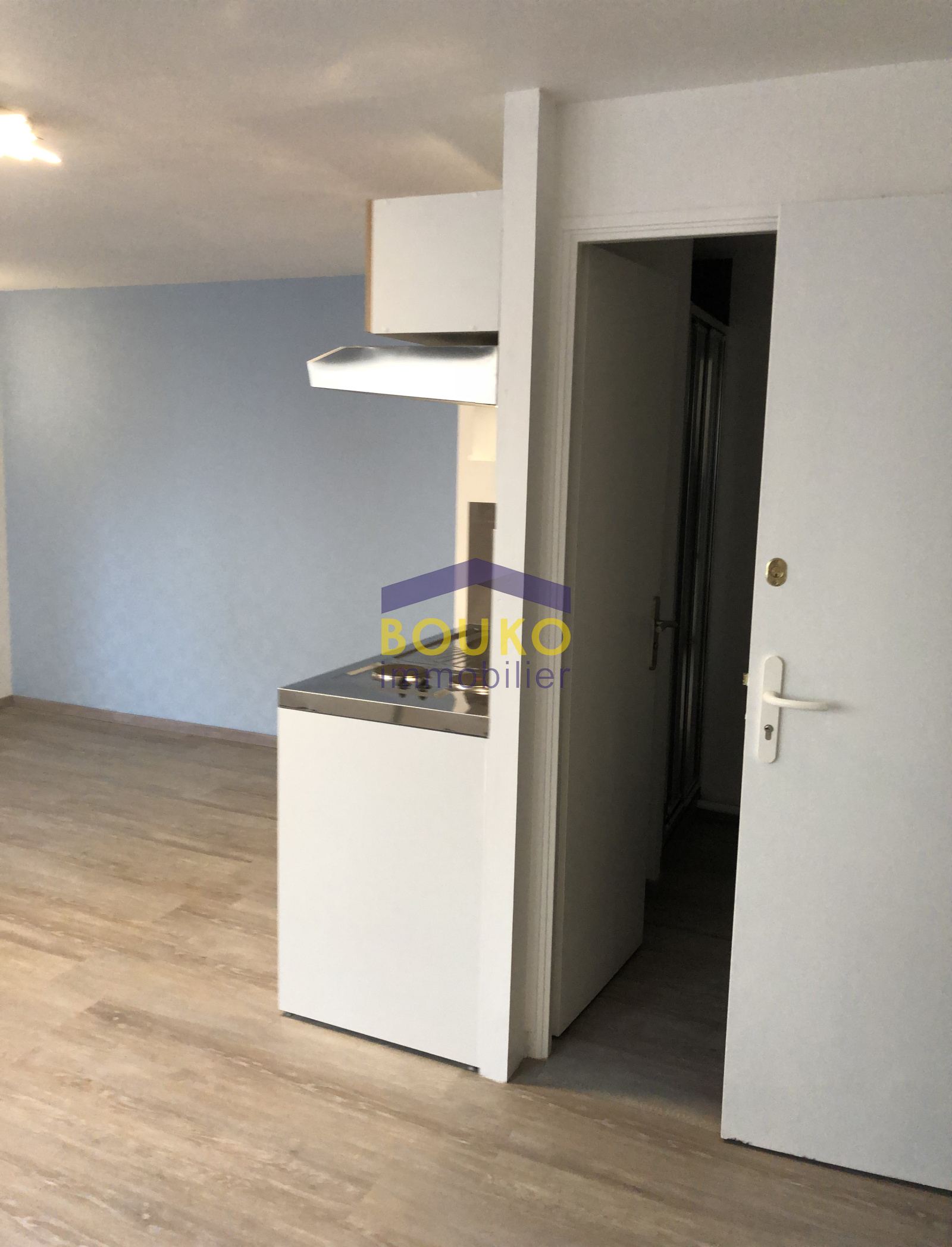 Image_, Appartement, Nancy, ref :00213131