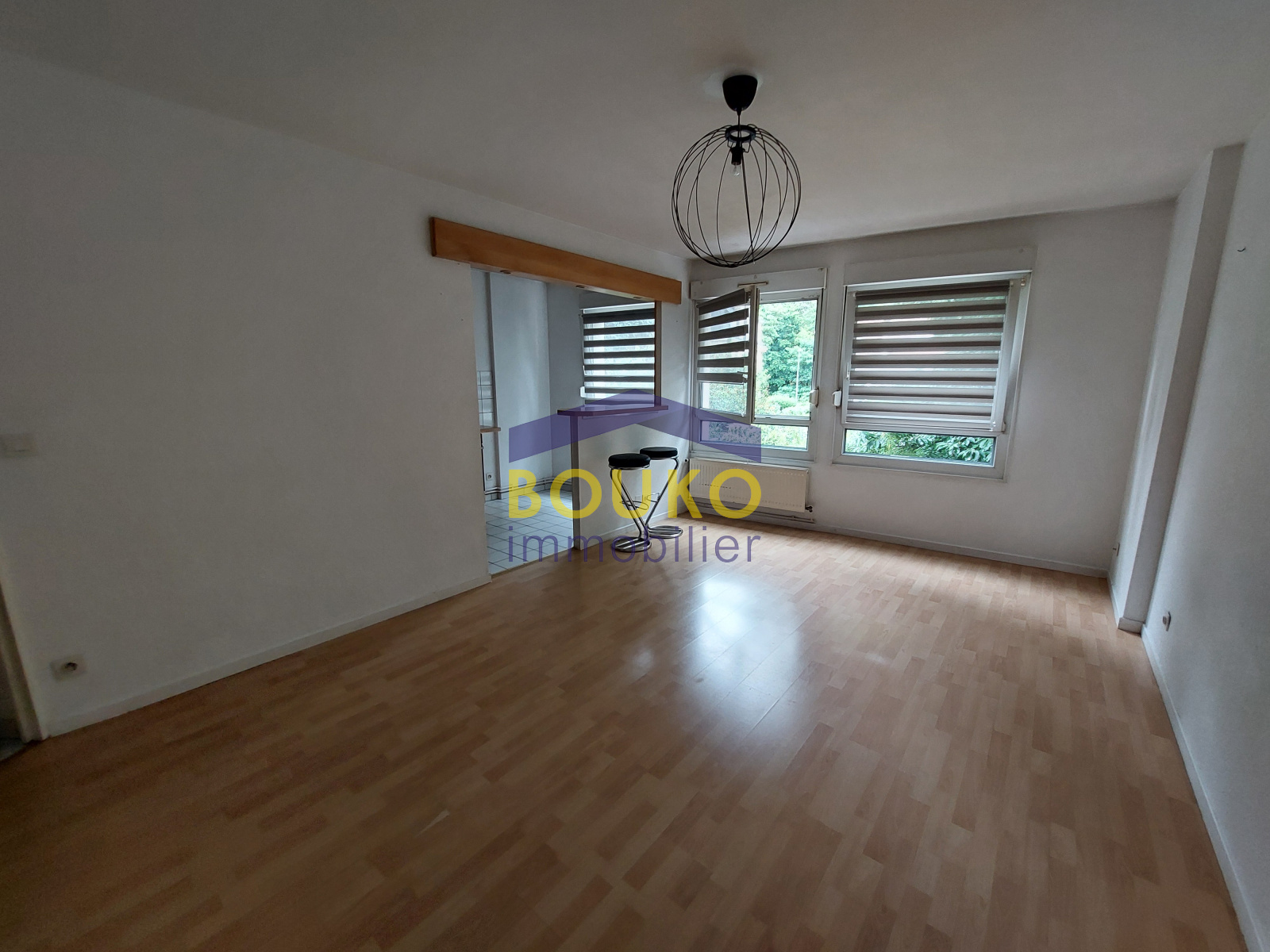 Image_, Appartement, Nancy, ref :1881