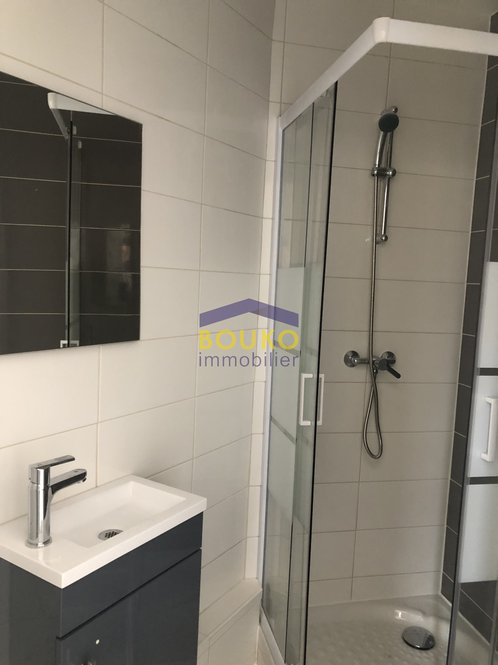 Image_, Appartement, Nancy, ref :0476-2